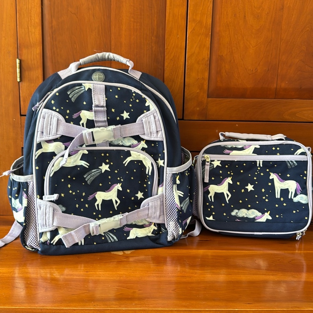 Pottery Barn Large back pack with lunch box